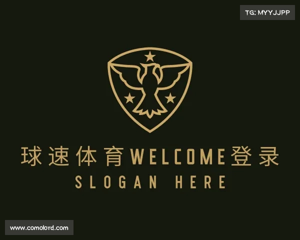 发现球速体育app手机版入口